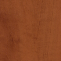 образец массива дерева